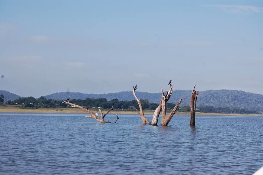 The Peepal Tree, Kabini Begūr Exterior foto