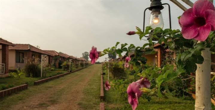 The Peepal Tree, Kabini Begūr Exterior foto